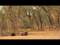 Zambezi Magic - Baines River Camp